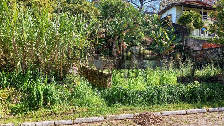 TERRENO COM 542,85M2 NO JARDIM MAUÁ TERRENO COM 542,85M2 NO JARDIM MAUÁ