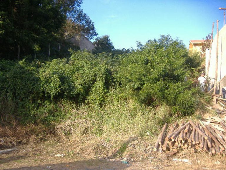 TERRENO AMPLO NO BOA VISTA