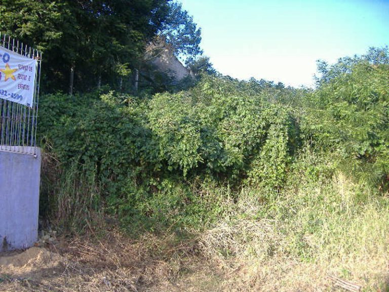 TERRENO AMPLO NO BOA VISTA
