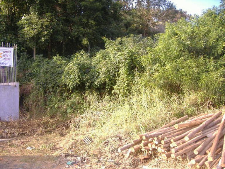 TERRENO AMPLO NO BOA VISTA