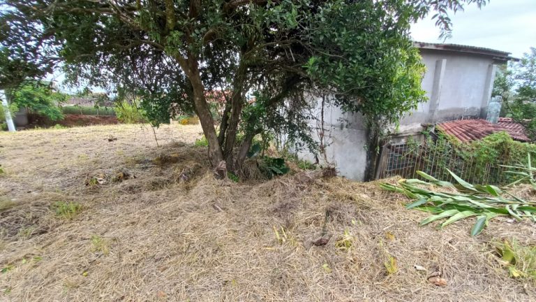 TERRENO COM DUAS FRENTES NO ALTO DO PETRÓPOLIS, 789,77M2 DE ÁREA TOTAL TERRENO COM DUAS FRENTES NO ALTO DO PETRÓPOLIS, 789,77M2 DE ÁREA TOTAL