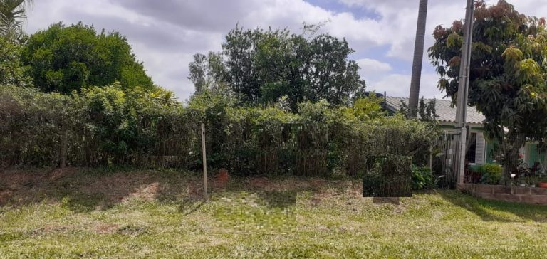 TERRENO COM 464,16M2 ÁREA TOTAL EM CAMPO BOM