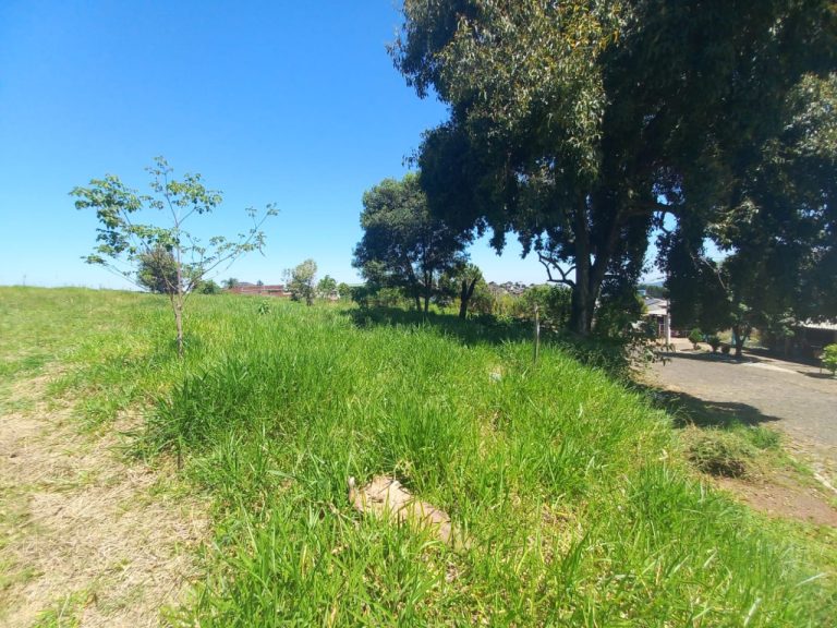 TERRENO COM 399,62M2 FRENTE NORTE NO ENCOSTA DO SOL ESTÃNCIA VELHA